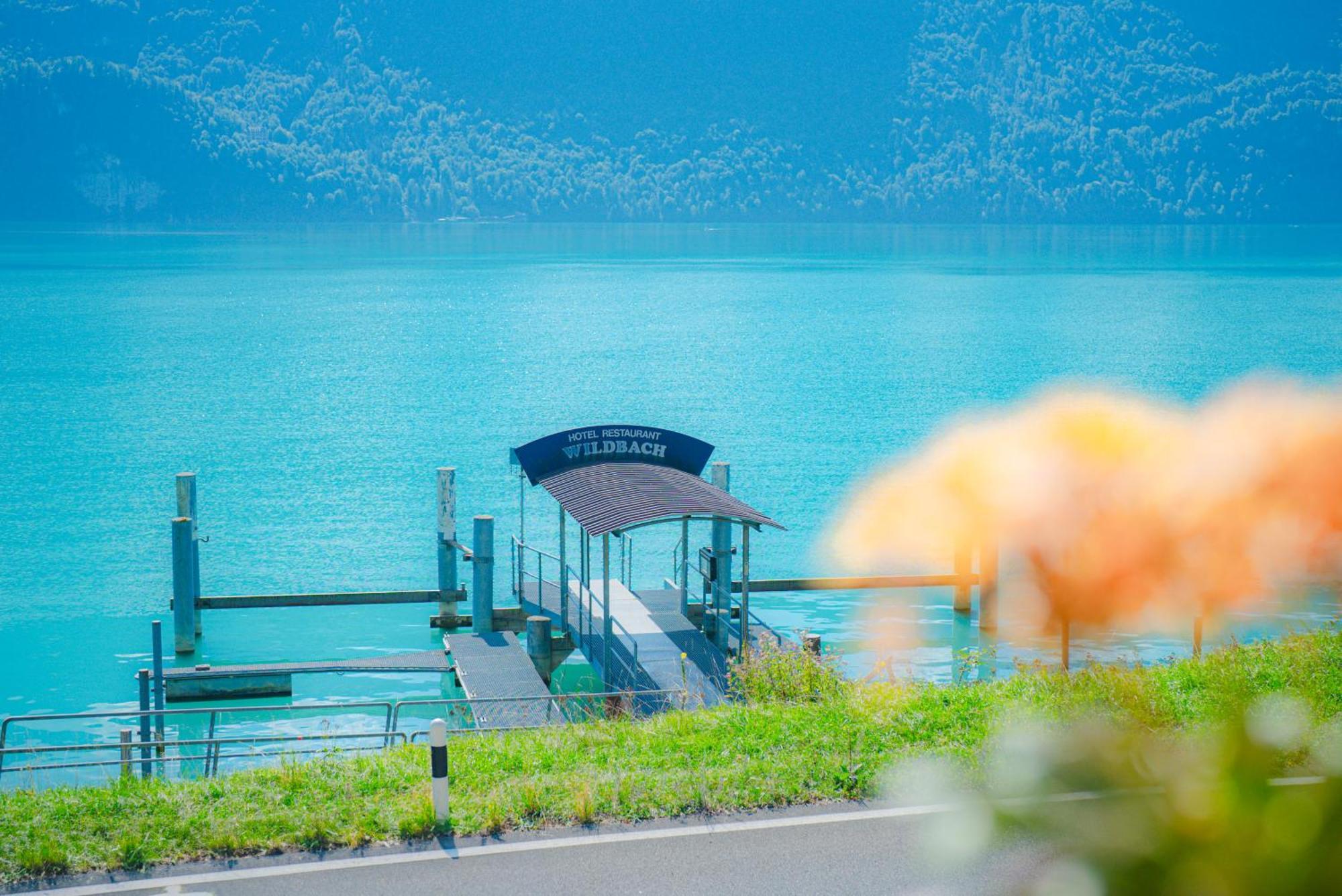 Hotel Wildbach Brienz Brienz  Εξωτερικό φωτογραφία